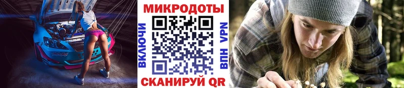 Псилоцибиновые грибы мухоморы  Моршанск 