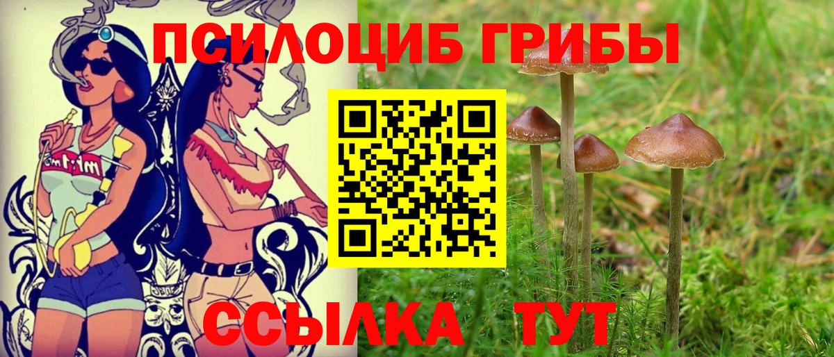 Галлюциногенные грибы Magic Shrooms  Вход с VPN  Моршанск 