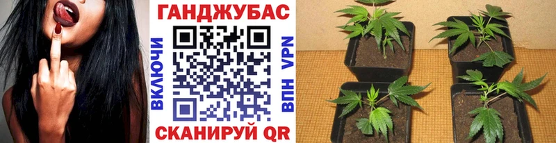 OMG зеркало  что такое наркотик  Моршанск  Канабис индика 